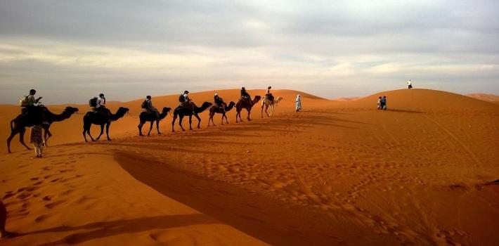 desierto en circuito single reserva tu circuito single