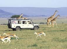 Safari con jirafas y antílopes en Maasai Mara